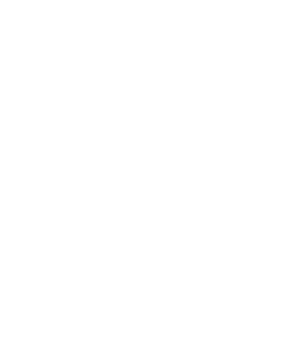 Literacy Basic Skills